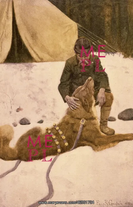: Jack London - Call of the Wild - Thornton : Jack London - Call of the Wild - Thornton