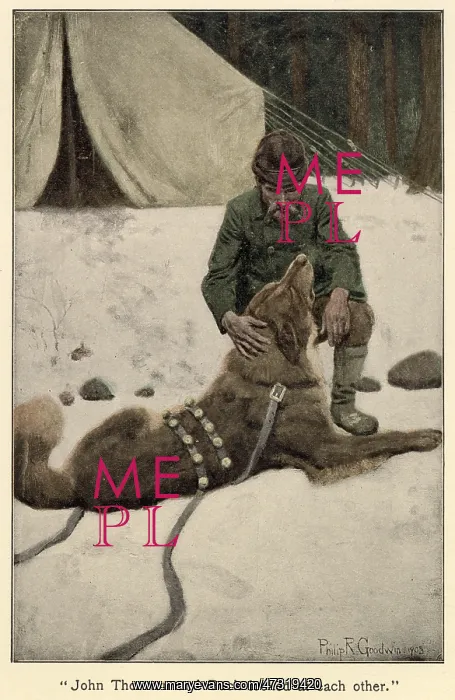 : Jack London - Call of the Wild - Thornton : Jack London - Call of the Wild - Thornton