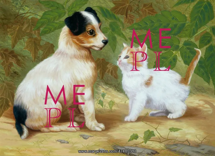  : Jack Russell Puppy and Kitten