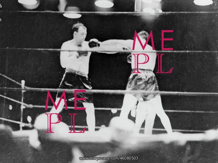 : Jack Sharkey and Max Schmeling : Jack Sharkey and Max Schmeling