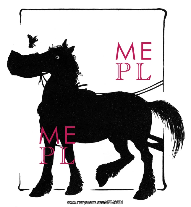 : Jack Sparrow and the horse : Jack Sparrow and the horse