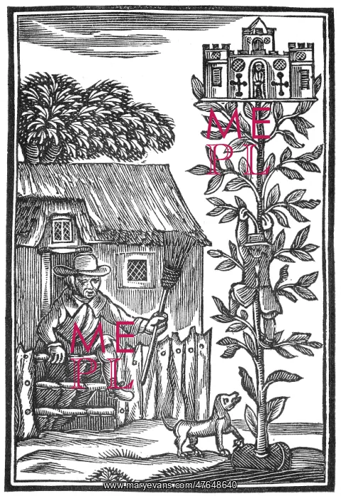 : Jack Spriggins and the Enchanted Bean : Jack Spriggins and the Enchanted Bean