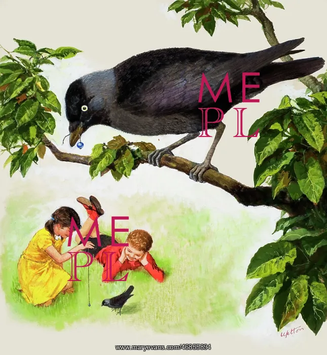 : Jackdaw. Jackdaw shows a boy and girl teasing one bird with a silver bead : Jackdaw. Jackdaw shows a boy and girl teasing one bird with a silver bead