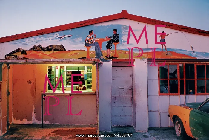  : Jackson Nkumanda Capescape mural
