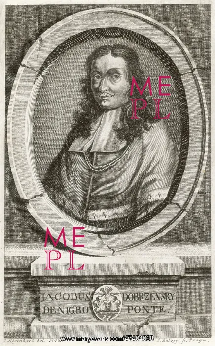 : JACOB DOBRZENSKY : JACOB DOBRZENSKY
