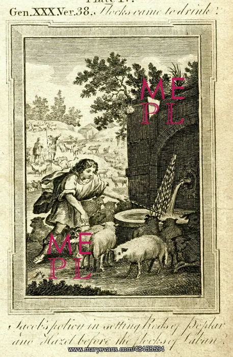 : Jacob and the flocks of Laban : Jacob and the flocks of Laban