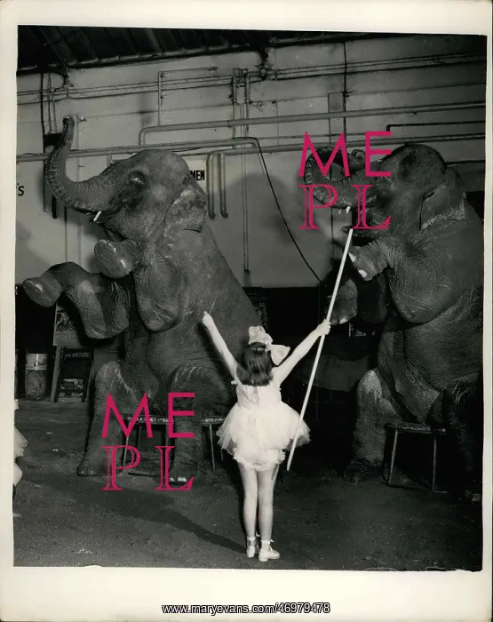 : Jacqueline Smart, age 5, with elephants : Jacqueline Smart, age 5, with elephants