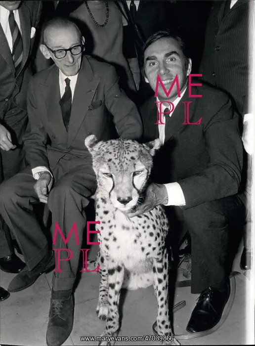 : Jacques Nam and Christian Zuber with a leopard : Jacques Nam and Christian Zuber with a leopard