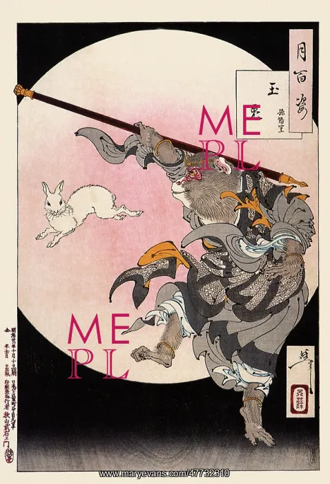  : Jade Rabbit - Sun Wukong