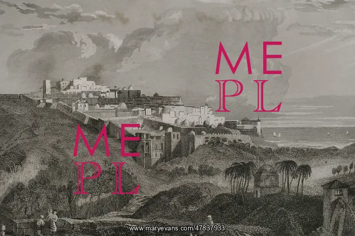 : Jaffa. General view of the city. Engraving by Ransonnette : Jaffa. General view of the city. Engraving by Ransonnette