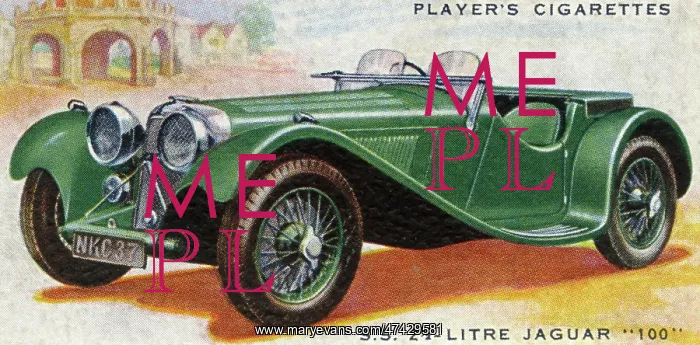 : Jaguar 100 : Jaguar 100