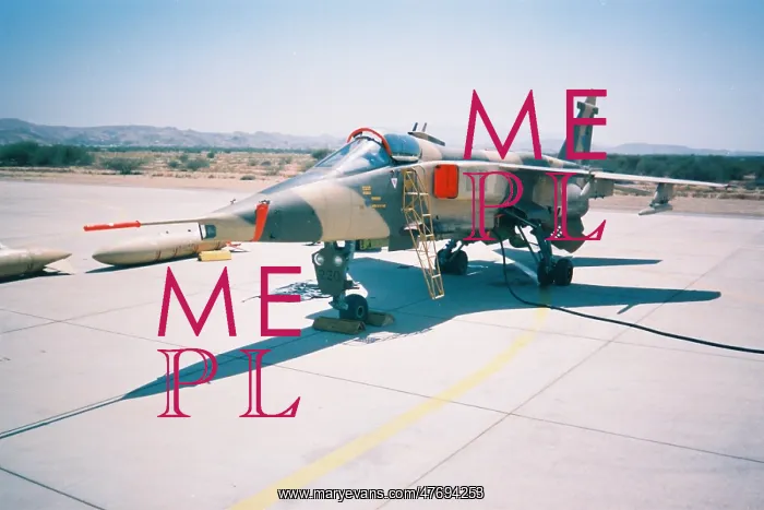: Jaguar at Seeb North - Oman : Jaguar at Seeb North - Oman