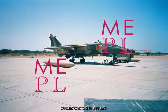: Jaguar at Seeb North - Oman : Jaguar at Seeb North - Oman