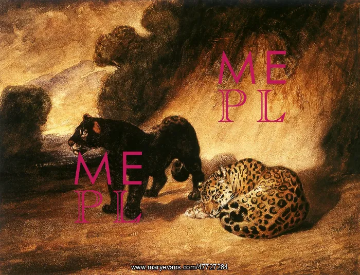  : Two Jaguars of Peru