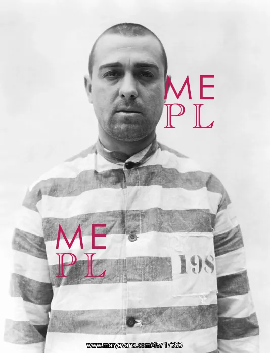 : Jailbird : Jailbird