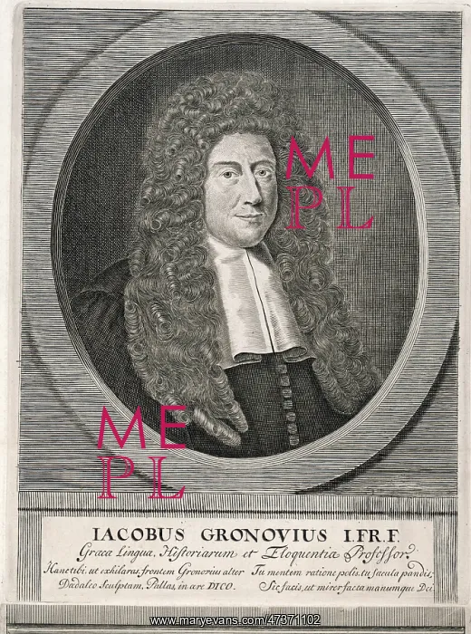 : JAKOB GRONOVIUS : JAKOB GRONOVIUS