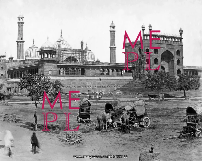 : Jama Masjid, Delhi, India : Jama Masjid, Delhi, India