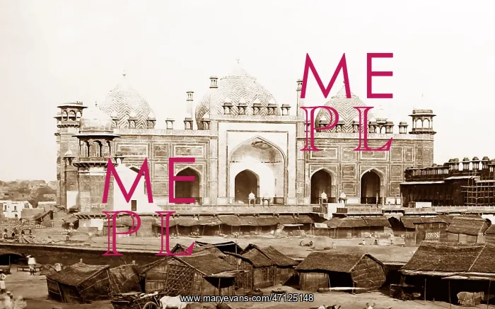  : Jama Mosque, Musjit, Agra, India