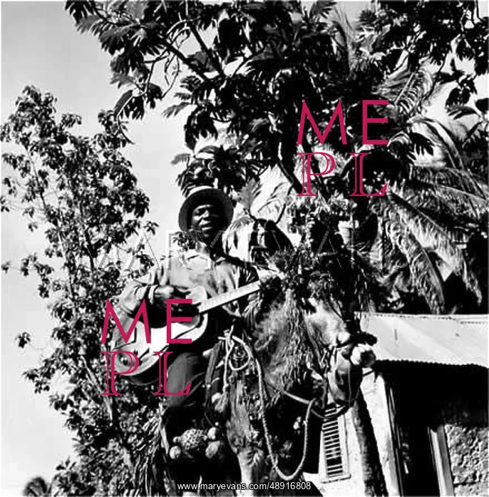 : JAMAICAN TROUBADOUR : JAMAICAN TROUBADOUR