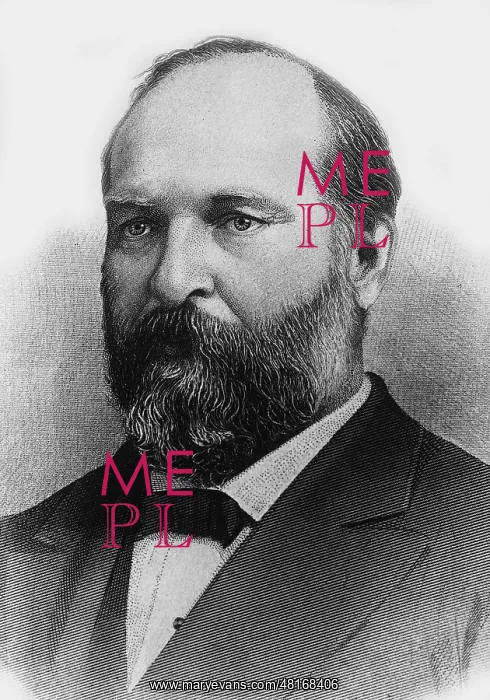 : James Abraham Garfield : James Abraham Garfield