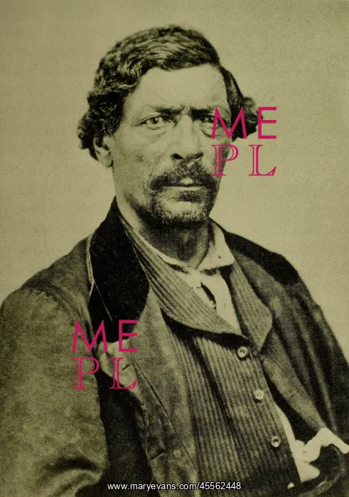 : James Beckwourth : James Beckwourth