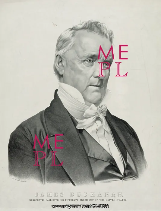 : James Buchanan: Democratic candidate for fifteenth President : James Buchanan: Democratic candidate for fifteenth President