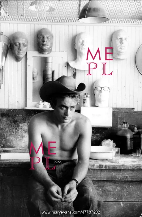 : James Dean, 1955 : James Dean, 1955