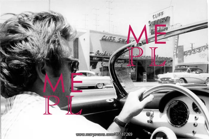 : James Dean in 1955 in his Porsche Spyder : James Dean in 1955 in his Porsche Spyder