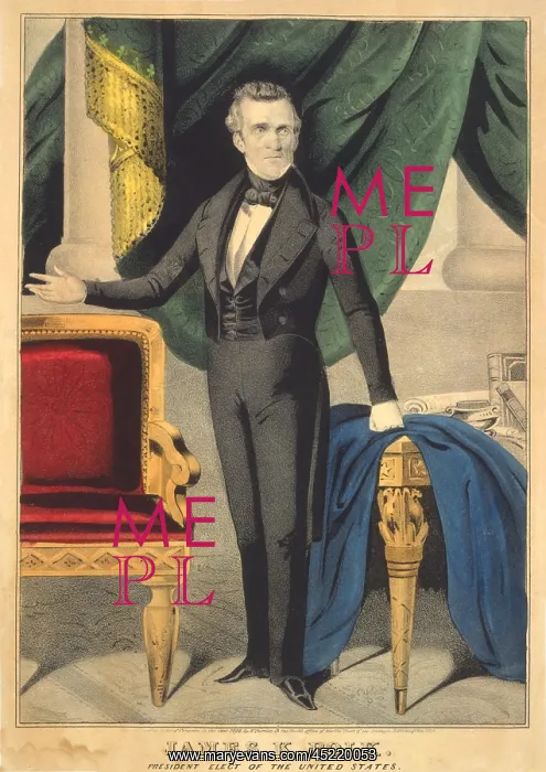 : James K. Polk as President elect of the ? : James K. Polk as President elect of the ?