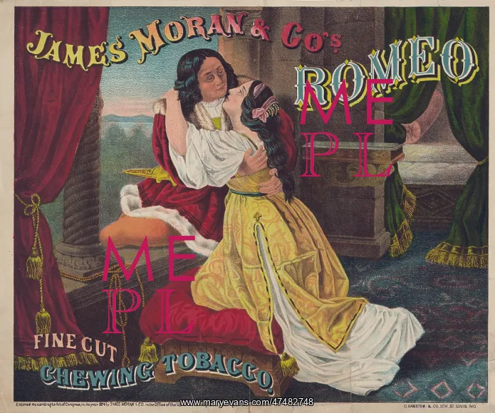 : James Moran & Co.'s Romeo, fine cut, chewing tobacco : James Moran & Co.'s Romeo, fine cut, chewing tobacco