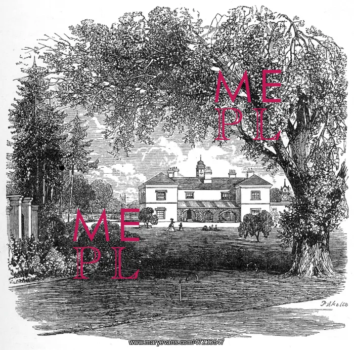 : JAMES WATT / HEATHFIELD : JAMES WATT / HEATHFIELD