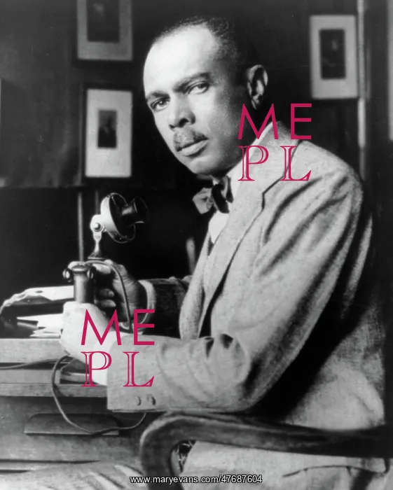 : James Weldon Johnson, American Author and Activist : James Weldon Johnson, American Author and Activist