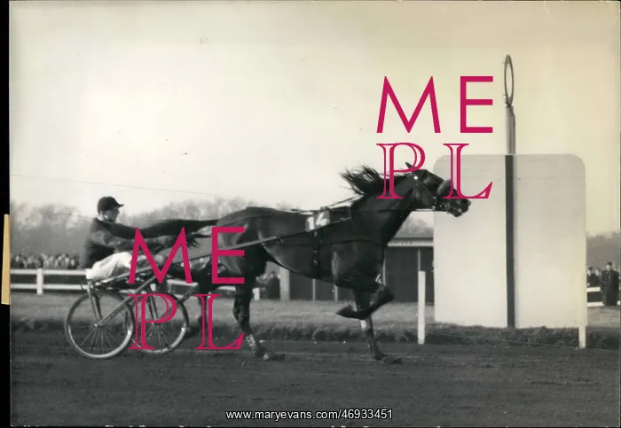: Jamin wins Prix d'Amerique race : Jamin wins Prix d'Amerique race