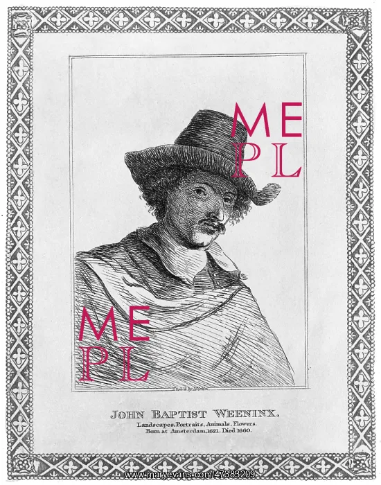 : JAN BAPTIST WEENINX : JAN BAPTIST WEENINX