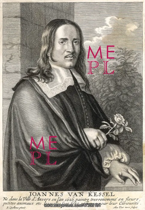 : JAN VAN KESSEL : JAN VAN KESSEL