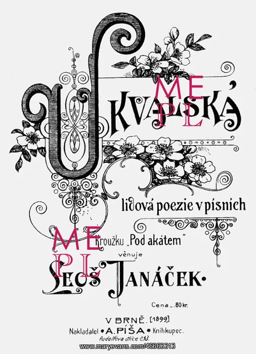 : Janacek, Leos, 3.7.1854 - 12.8.1928, Czech musician : Janacek, Leos, 3.7.1854 - 12.8.1928, Czech musician