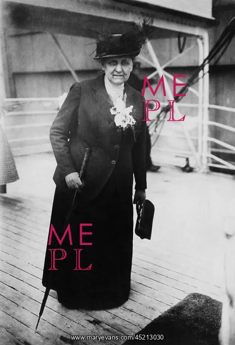 : Jane Addams (1860-1935), returning to the ? : Jane Addams (1860-1935), returning to the ?