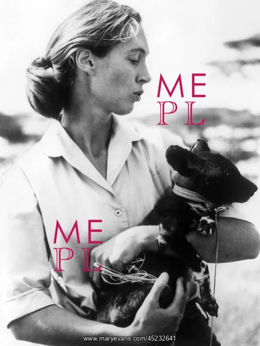 : Jane Goodall. ca 1970s. ? : Jane Goodall. ca 1970s. ?