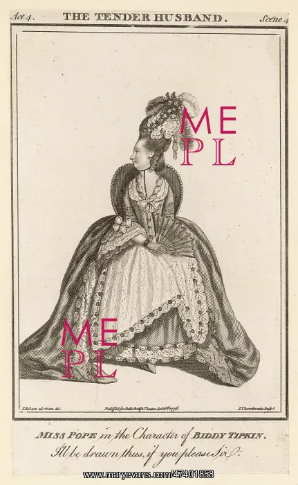 : JANE POPE - BIDDY TIPKIN : JANE POPE - BIDDY TIPKIN