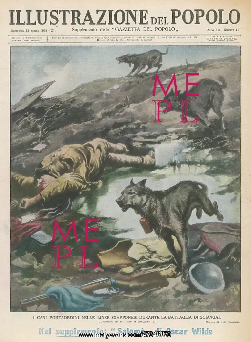 : JAP MESSENGER DOGS : JAP MESSENGER DOGS