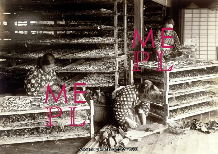 : Japan in the 1920th - Silk : Japan in the 1920th - Silk