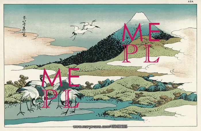 : JAPAN / FUJIYAMA C1826 : JAPAN / FUJIYAMA C1826