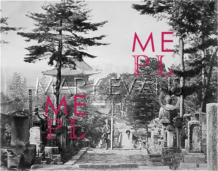: JAPAN / KYOTO GRAVEYARD : JAPAN / KYOTO GRAVEYARD