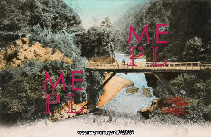  : Japan - Monkey Bridge in the Kai Province
