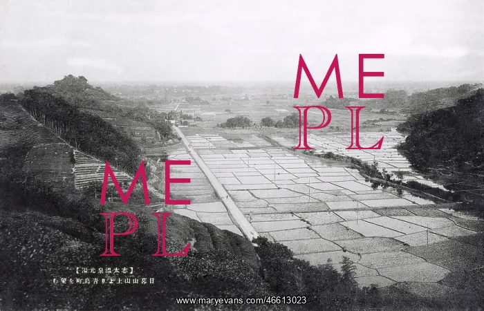 : Japan - Panoramic view of paddy fields