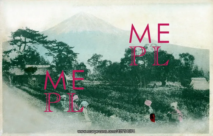 : Japan - Rice Field with Mount Fuji : Japan - Rice Field with Mount Fuji