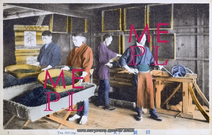  : Japan - Tea Industry - Tea Sifting