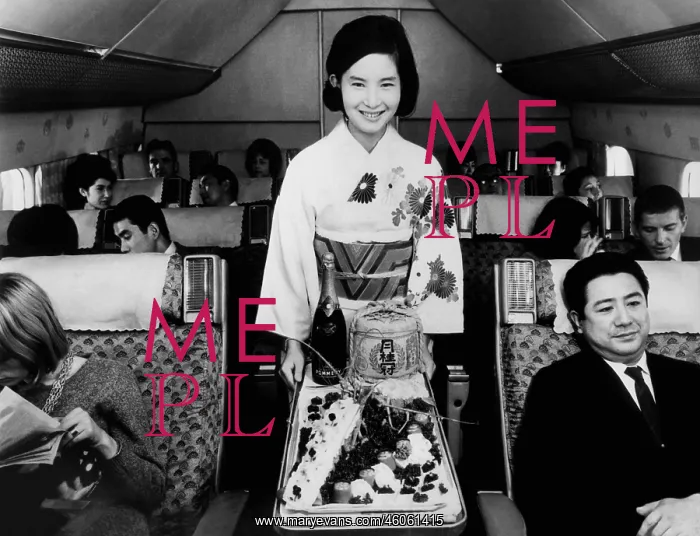 : A Japanese Air Hostess : A Japanese Air Hostess
