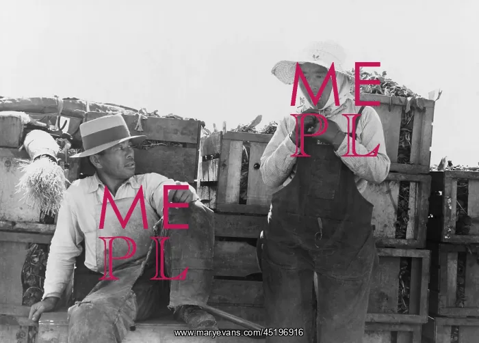 : Japanese-Americans agricultural workers ? : Japanese-Americans agricultural workers ?