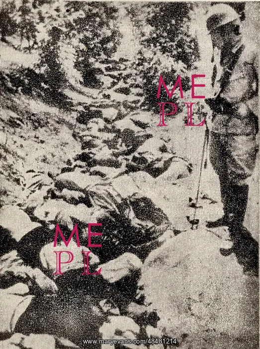 : The Japanese Army Pushed Down and Insulted the : The Japanese Army Pushed Down and Insulted the